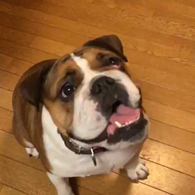 お熱なう。の画像