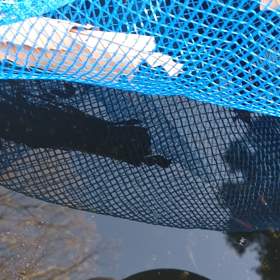 めだ活あまり出来ずの画像