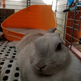 今日のうっちゃん　7月11日の画像