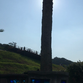 お久しぶりです！の画像