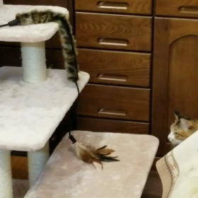 久々に走ったよの画像