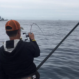 出船してないですの画像