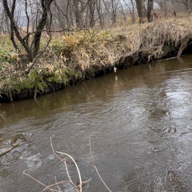 北海道釣り生活②    グイウー祭り編の画像