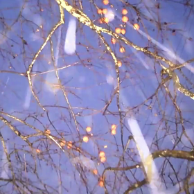 すぎぴたんの事件簿シーズン3　132話（柿と雪コラボ）の画像