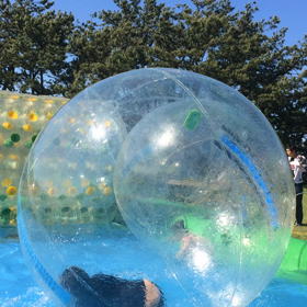 おとなげなくもの画像