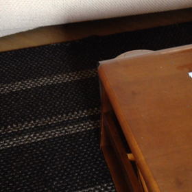 気をつけ！ ルンバ ♪の画像