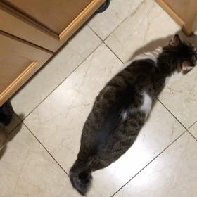 一日中ジムでみんな寂しかったよね…の画像