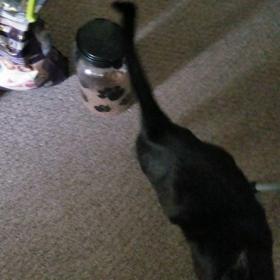 スリスリの舞の画像