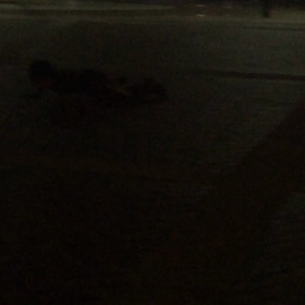 遊びから、色々と学ぶんですね。の画像