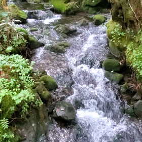 今日も…きびしい暑さの画像