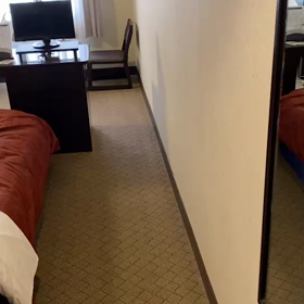 家に寄り付かないなーの画像