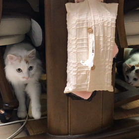 新しいオモチャの画像