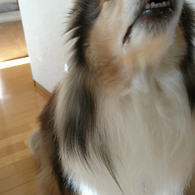 高速〰〰の画像