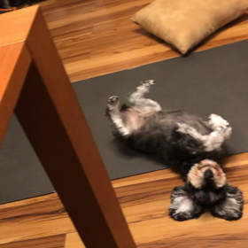 リラックス〜の画像