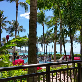 ☆今日も快晴☆の画像