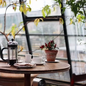 ♪もう大丈夫の画像