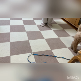 ぽた君の伸び♡の画像