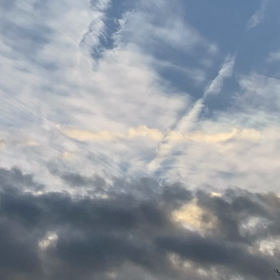 これは龍かな？の画像