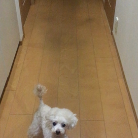 雨の日の練習の画像