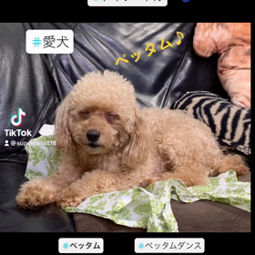 2022年に『TikTok』初めました♭♪の画像