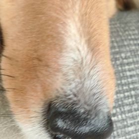 かーみんぐの画像