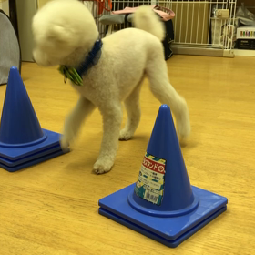 ソ ナ編②の画像