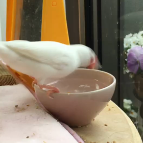 たくさんのアクセスありがとうございます^ ^の画像