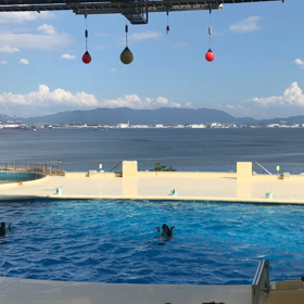 ”バイキングとマリンワールド”の画像