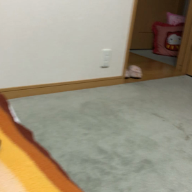 こんなニャンズを置いては無理な岐路に立たされて…の画像