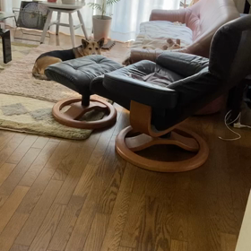 ここまで、私を信じ切ったらダメだよの画像