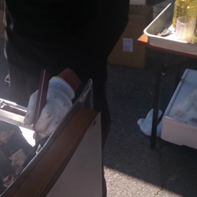 西尾市、子供の国 イベントにて❗の画像