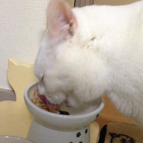 うれしいの画像