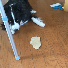 隠し撮りの画像