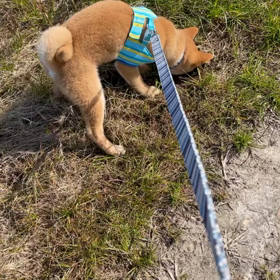 ほりほり。の画像