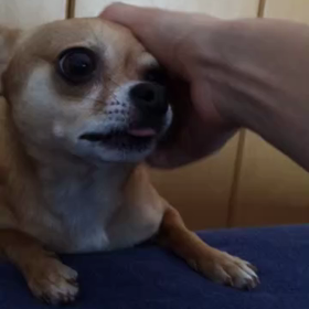 もっと触って♡の画像