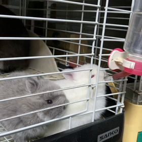 お水ものめるよの画像