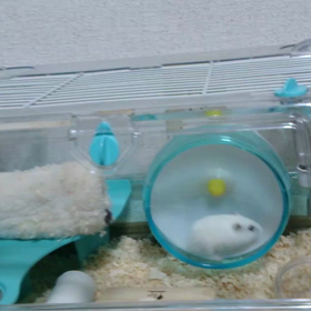 吹っ切れました！！の画像