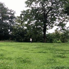 よーいドン！の画像