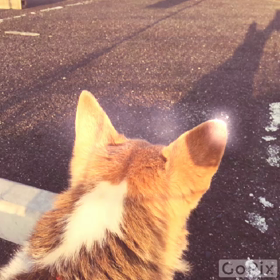 動画初投稿＼(^o^)／の画像