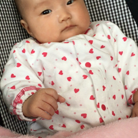 娘ちゃんの画像