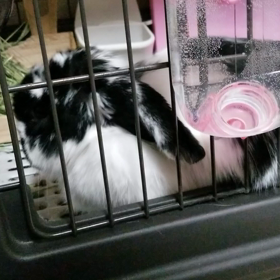 明日から職場復帰の画像