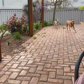 マスクの威力の画像