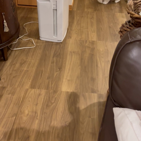 毎日ドックランの画像