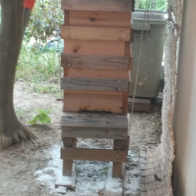 今日も時騒ぎの画像