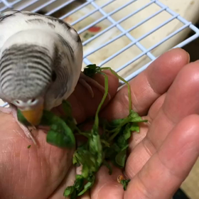 2023/12/26の画 像