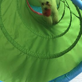 ♪プレイルーム動画♪①の画像