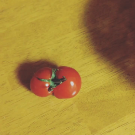 2019/07/24  ミニとめぇとぅの画像