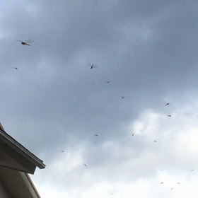 山から。の画像