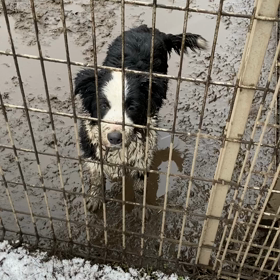 見分けがつかない兄弟の画像