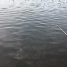 2022年10月11日の画像